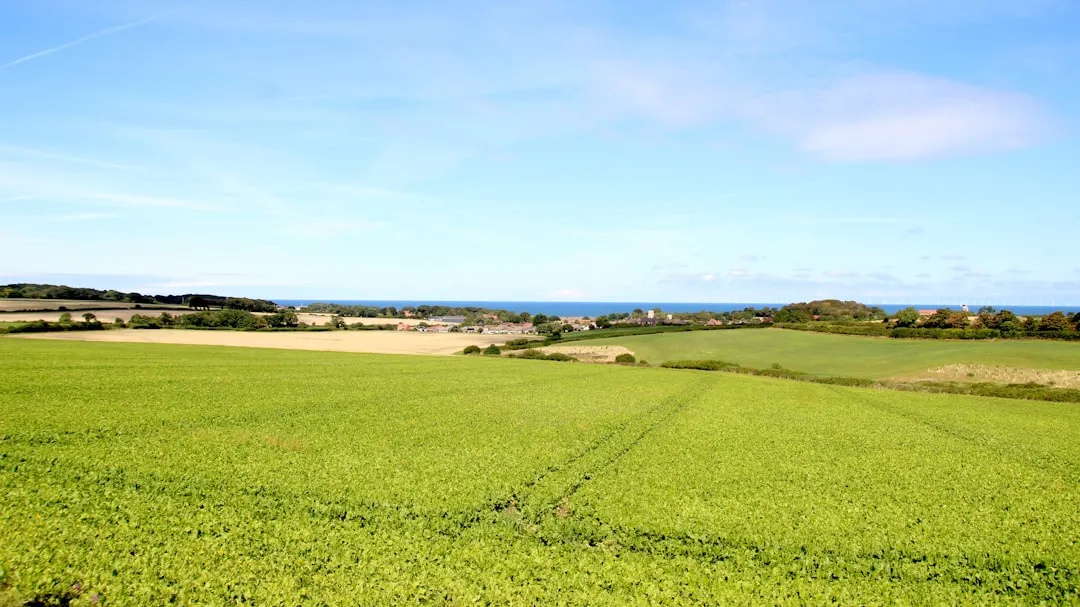 阳城本地化工产品运输安全规范与合规要点解析